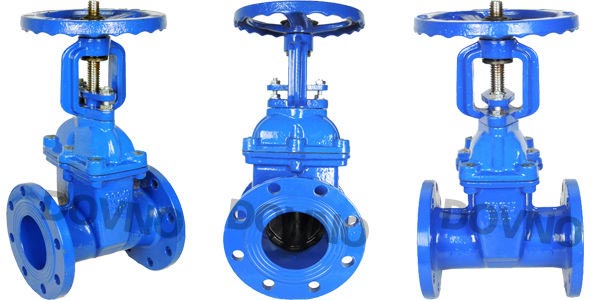 明杆弹性座封闸阀