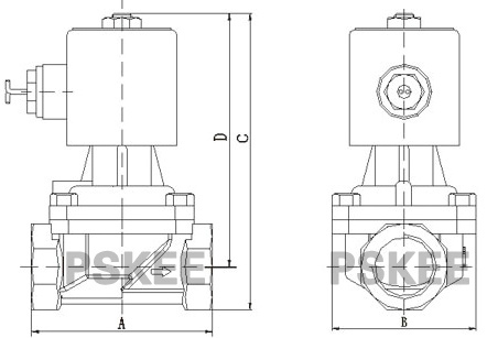 RSPS螺纹零压差蒸汽电磁阀