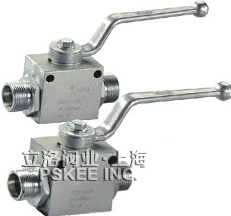 VH2V系列高压球阀外螺纹