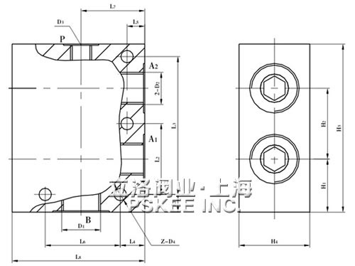 DFZ2系列双联单向阀尺寸图