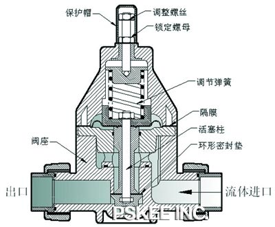安全背压阀结构图