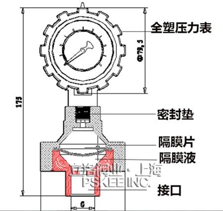 全塑隔膜压力表结构图