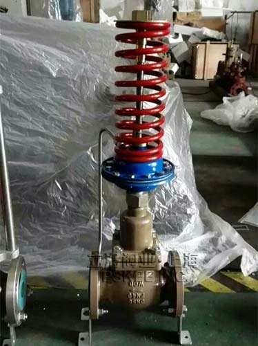 V230Y自力式调节阀实物图2