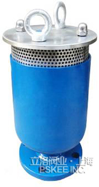 防水锤自动气排阀实物图1