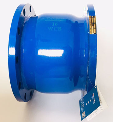 消声弹簧止回阀实物图4