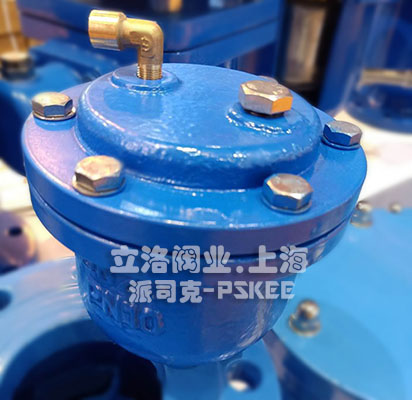 微量排气阀实物图