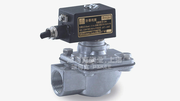 脉冲式防爆电磁阀图片