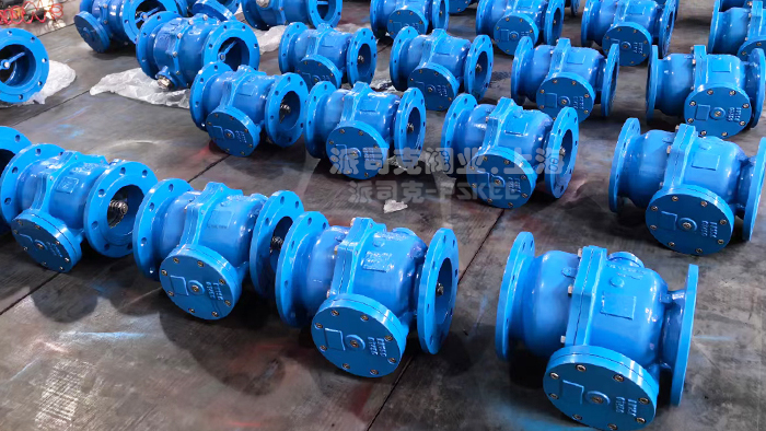 一体式倒流防止器图片