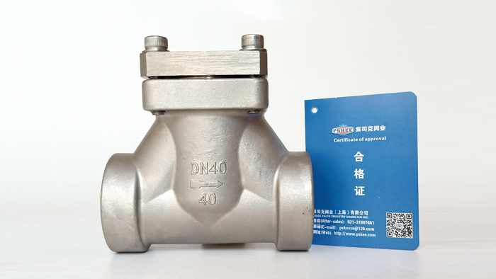 低温止回阀图片