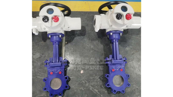 电动刀闸阀图片
