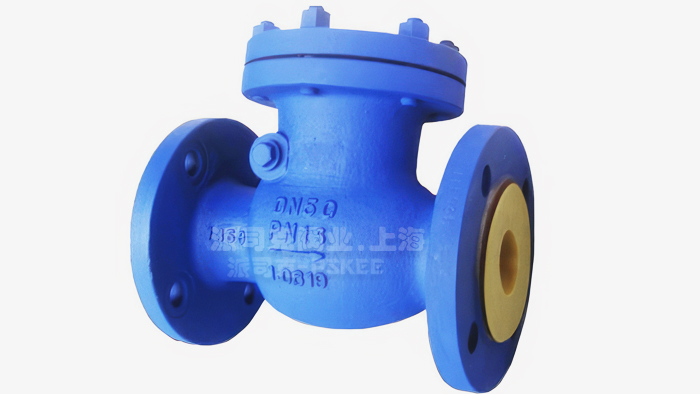 德标止回阀图片