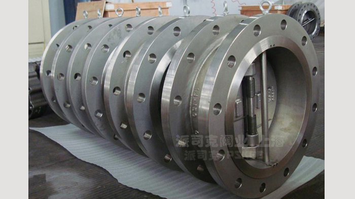 双瓣止回阀图片