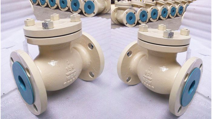 美标止回阀图片