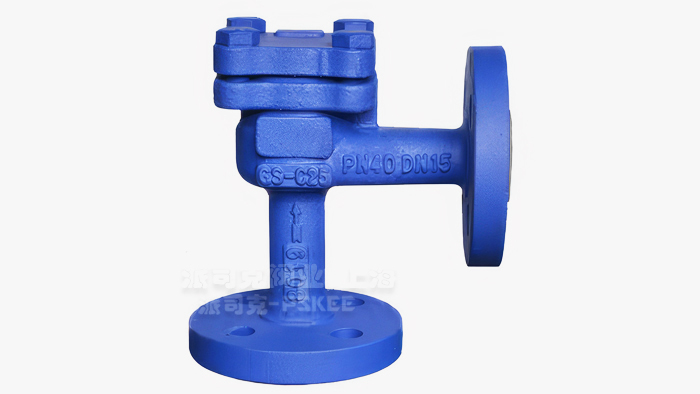 德标角式止回阀图片