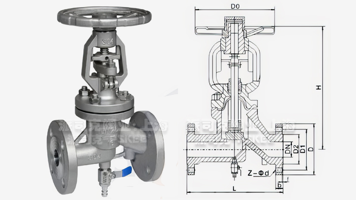 抗生素截止阀尺寸图