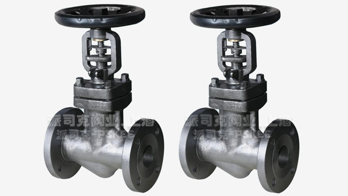 锻钢A105波纹管截止阀图片