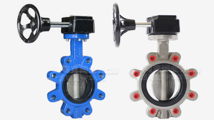 凸耳式蝶阀图片