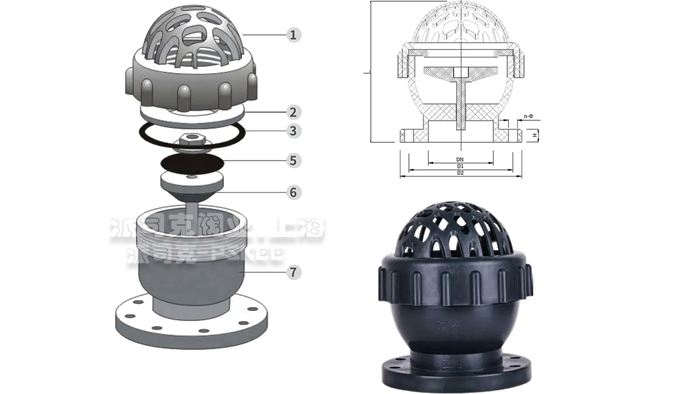 H41F水泵塑料底阀结构图