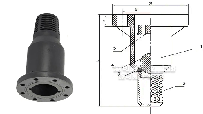 球芯水泵塑料底阀尺寸图